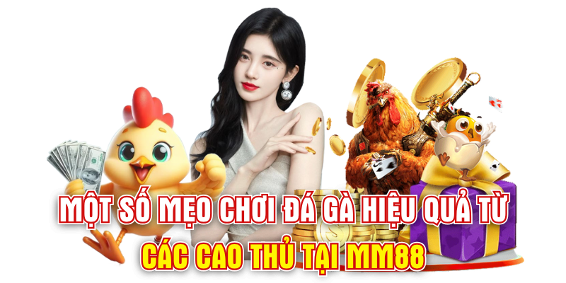 Một số mẹo chơi đá gà hiệu quả từ các cao thủ tại MM88